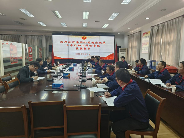 集團公司到公司檢查“國企改革三年行動” 集團公司到公司檢查“國企改革三年行動”